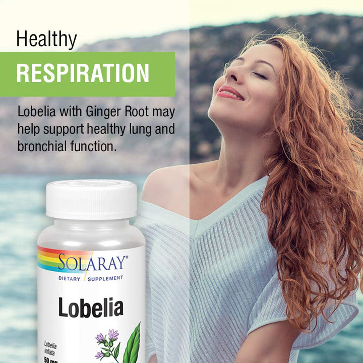 SOLARAY Lobelia Aerial 50mg | Healthy Respiratory and Bronchial Function Support | Ginger Root for Added Lung Support | Non - GMO & Vegan | 100 VegCaps - The Oasis of Health