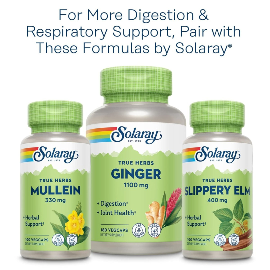 SOLARAY Marshmallow Root 480 mg Healthy Respiratory Function & Digestion Support Non - GMO & Vegan 100 VegCaps - The Oasis of Health