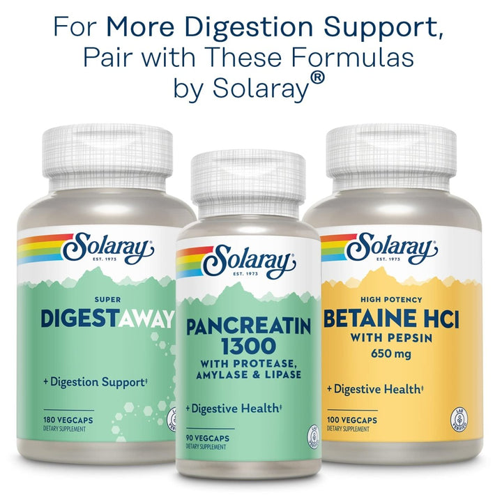 Solaray Mastic Gum Extract 500 mg 45 Count - The Oasis of Health