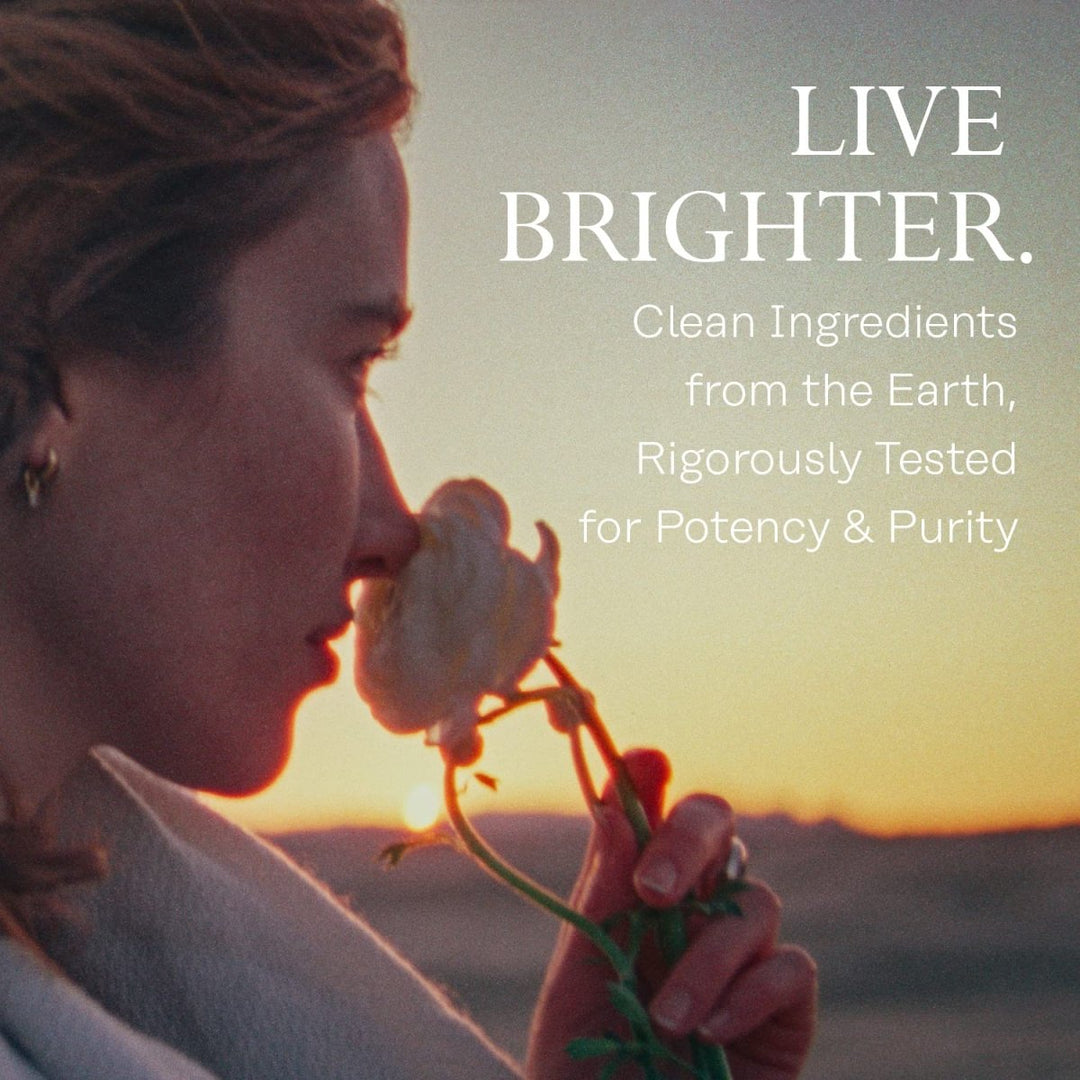 SOLARAY Milk Thistle, 60 CT 10679 - The Oasis of Health