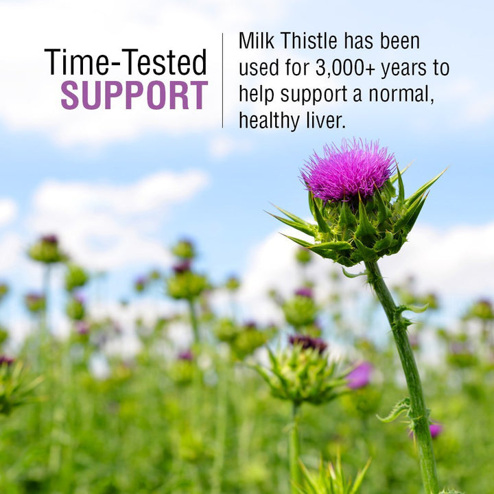 SOLARAY Milk Thistle Seed Extract 175mg Antioxidant Intended to Help Support a Normal, Healthy Liver Non - GMO & Vegan 120 VegCaps - The Oasis of Health