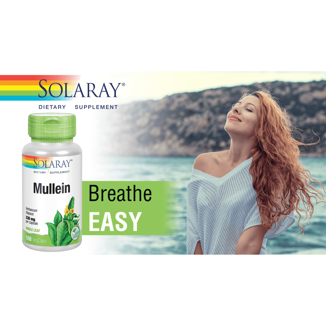 Solaray Mullein 330 mg 100 Vcaps - 2 Pack - The Oasis of Health
