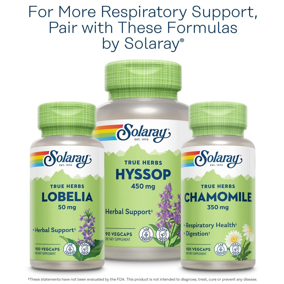 SOLARAY Mullein Leaf 330mg | Herbal Support for Healthy Respiratory, Bronchial & Immune Function | Vegan | 100 CT - The Oasis of Health