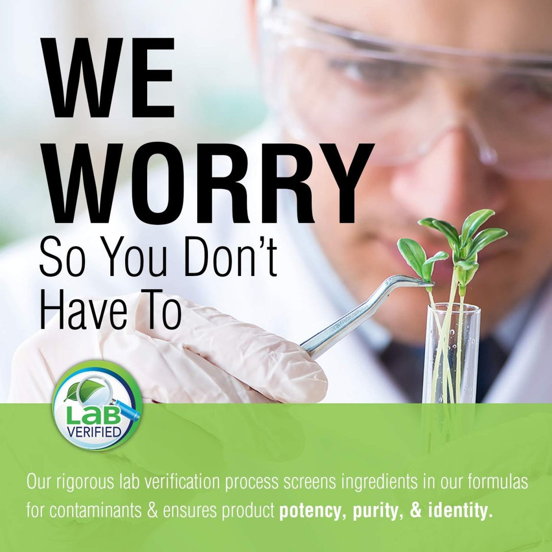 SOLARAY Nattokinase and Serrapeptase Supplement 30 Count - The Oasis of Health