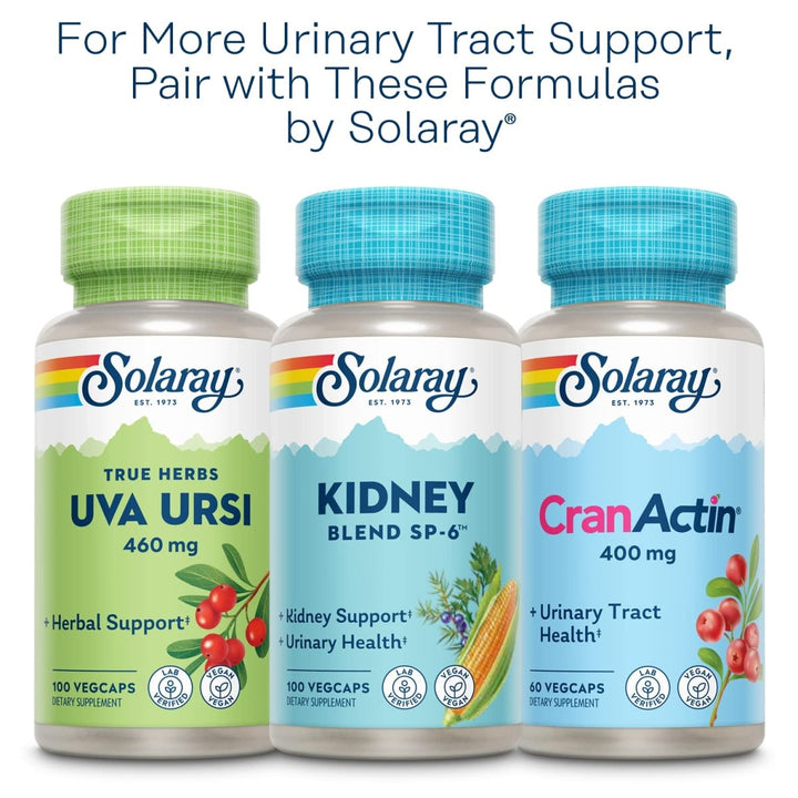 SOLARAY Nettle Leaf 450mg Healthy Kidney, Urinary & Prostate Support Traditional Use for Healthy Allergy Response & Respiratory Wellness 180 CT - The Oasis of Health