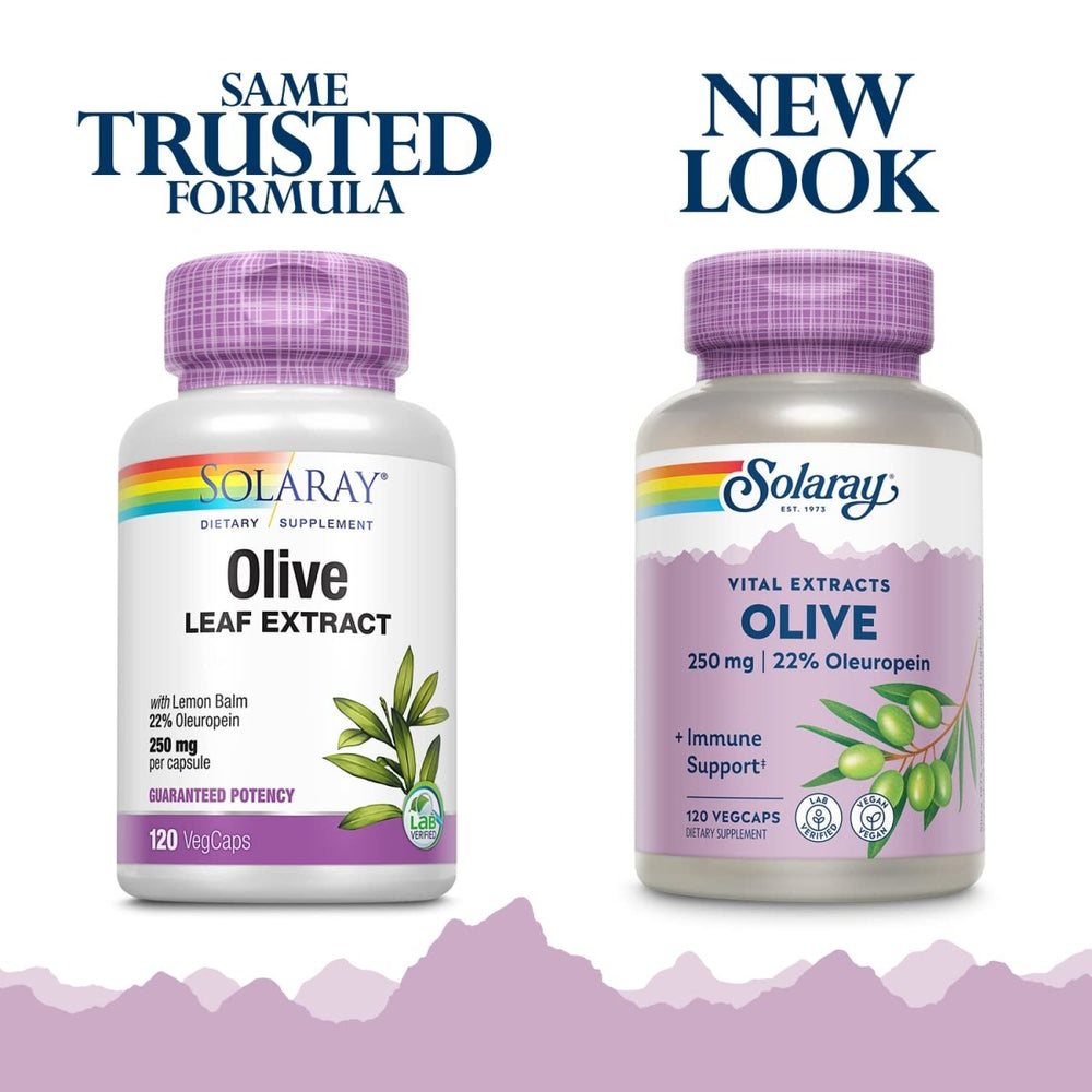 SOLARAY Olive Leaf Extract 22% Supplement, 250 mg | 120 Count - The Oasis of Health