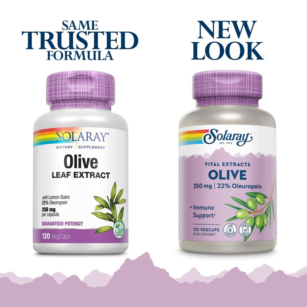 SOLARAY Olive Leaf Extract 22% Supplement, 250 mg | 120 Count - The Oasis of Health