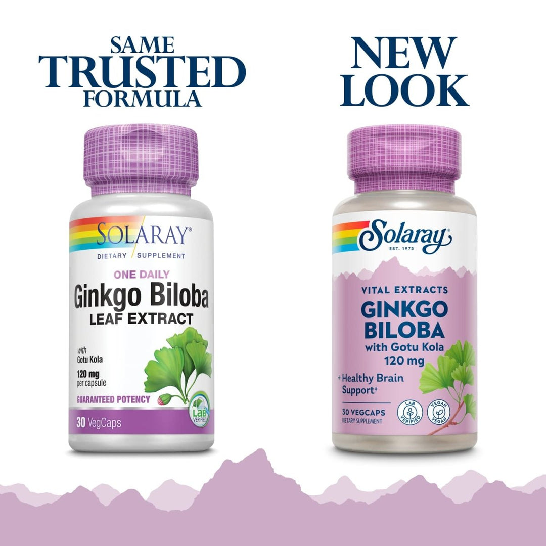 SOLARAY One Daily Ginkgo Biloba Leaf Extract | (30 VegCaps) 03603 - The Oasis of Health