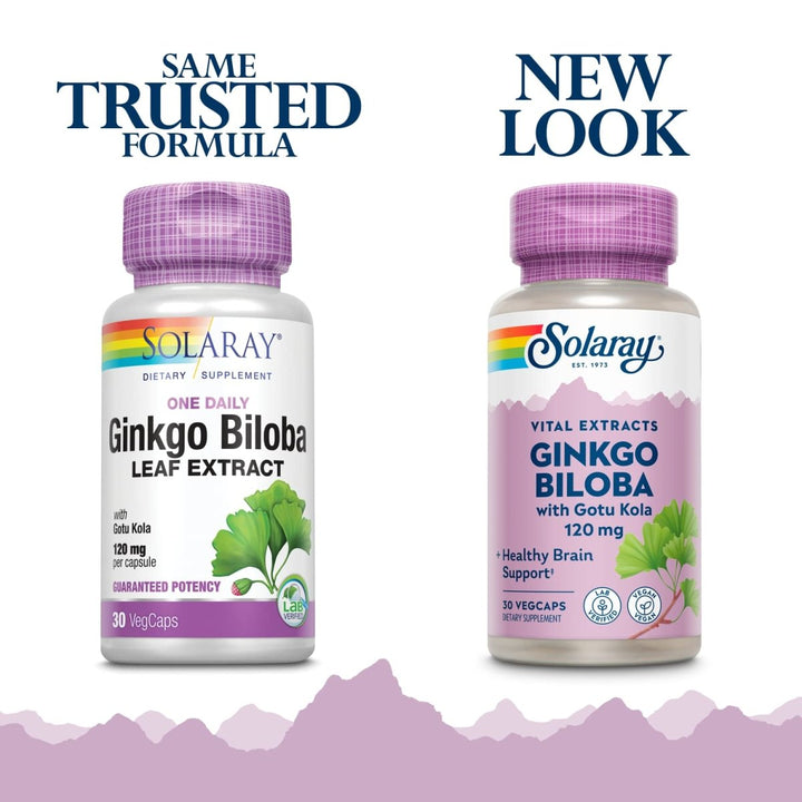 SOLARAY One Daily Ginkgo Biloba Leaf Extract | (30 VegCaps) 03603 - The Oasis of Health