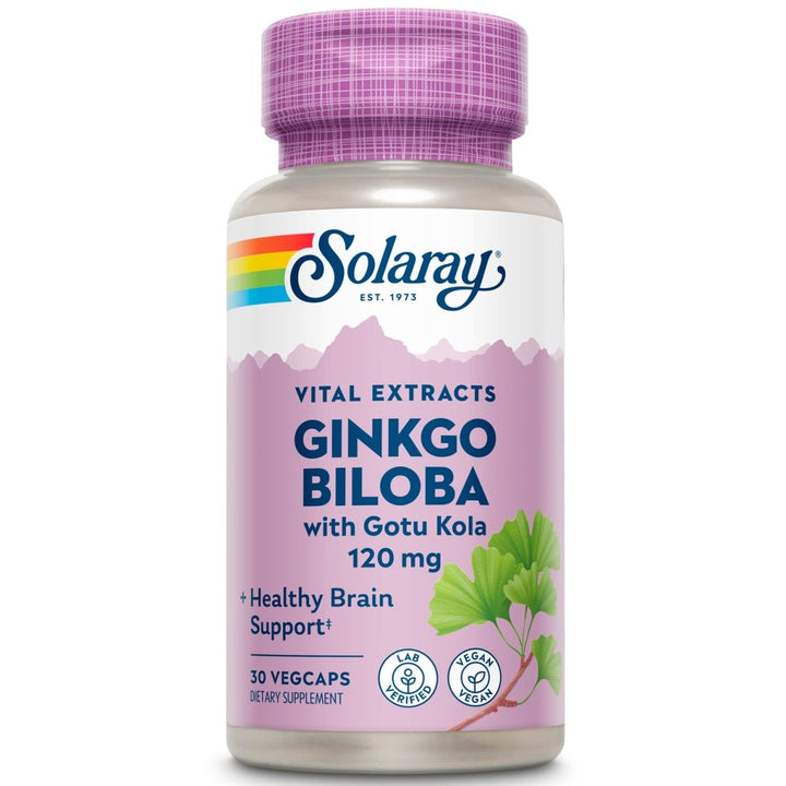 SOLARAY One Daily Ginkgo Biloba Leaf Extract | (30 VegCaps) 03603 - The Oasis of Health