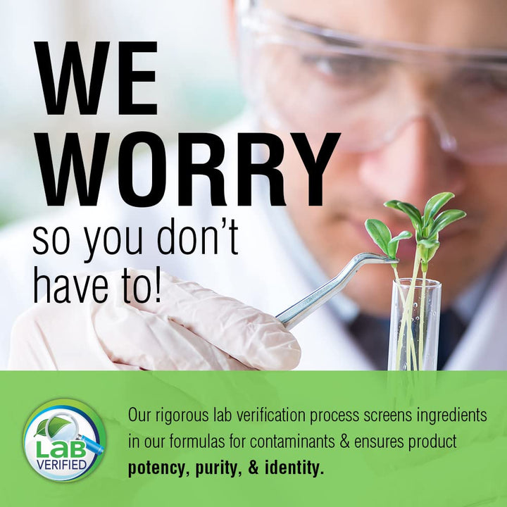 Solaray Peppermint Oil Enteric Coated w/Rosemary & Thyme Oil | Healthy, Soothing Digestion Support | 60 Softgels - The Oasis of Health