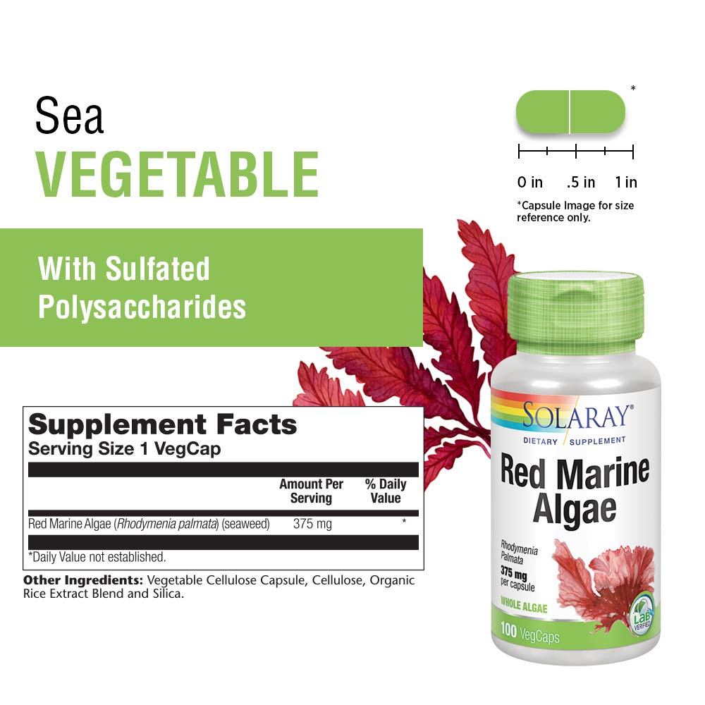 Solaray Red Marine Sea Algae 375mg | Sea Vegetable Supplement | Healthy Immune Function & Skin Support | Non - GMO | Vegan | Lab Verified | 100 VegCaps - The Oasis of Health