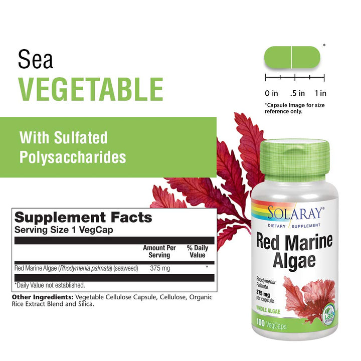 Solaray Red Marine Sea Algae 375mg | Sea Vegetable Supplement | Healthy Immune Function & Skin Support | Non - GMO | Vegan | Lab Verified | 100 VegCaps - The Oasis of Health