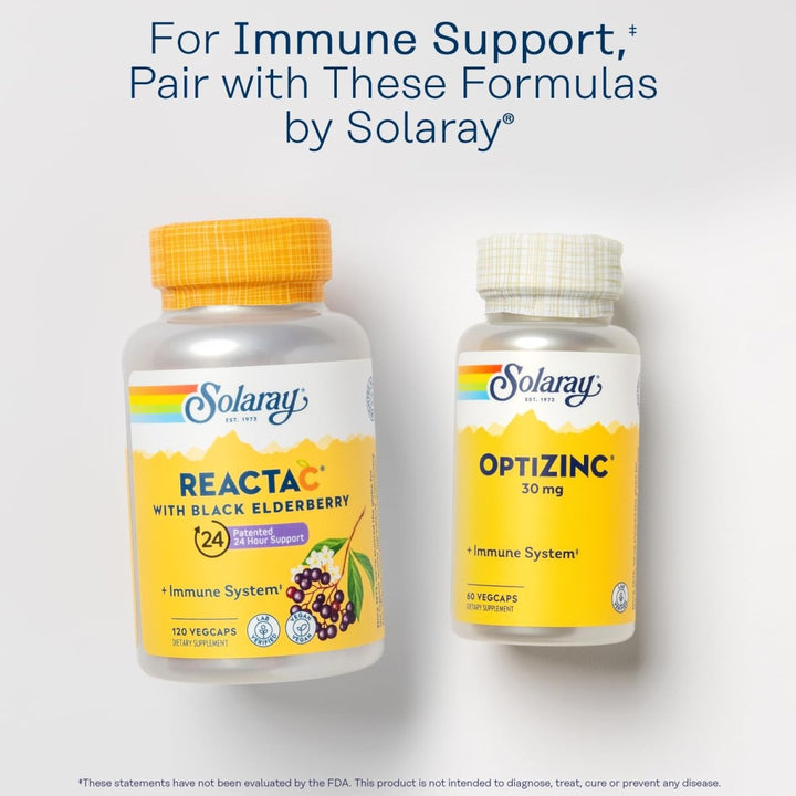 SOLARAY Reishi Mushroom 600mg - Reishi Mushroom Capsules for Immune Support - Vegan, Lab Verified - 60 - Day Money - Back Guarantee - 100 Servings, 100 VegCaps - The Oasis of Health