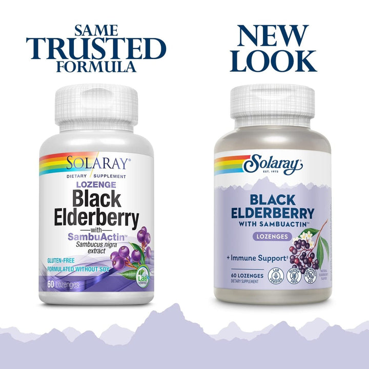 Solaray - Sambuactin Elderberry Extract, 60 Lozenges - The Oasis of Health