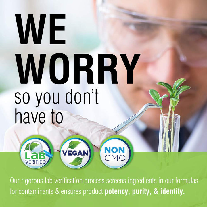 SOLARAY St Johns Wort 325mg Whole Aerial | Mood & Brain Health Support | Non - GMO, Vegan Lab Verified (100 CT) - The Oasis of Health