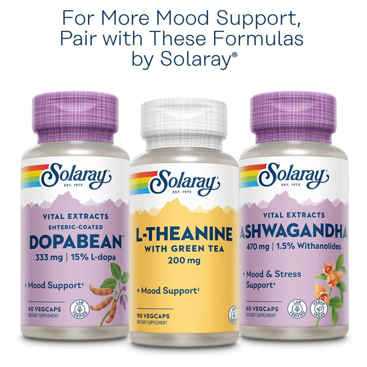 SOLARAY St John's Wort 900 mg, Once Daily Mood Support Supplement, Standardized to 0.3% Hypericin for Brain Health Support and a Balanced Mood, 60 - Day Money Back Guarantee | 30 Servings | 30 Tablets - The Oasis of Health