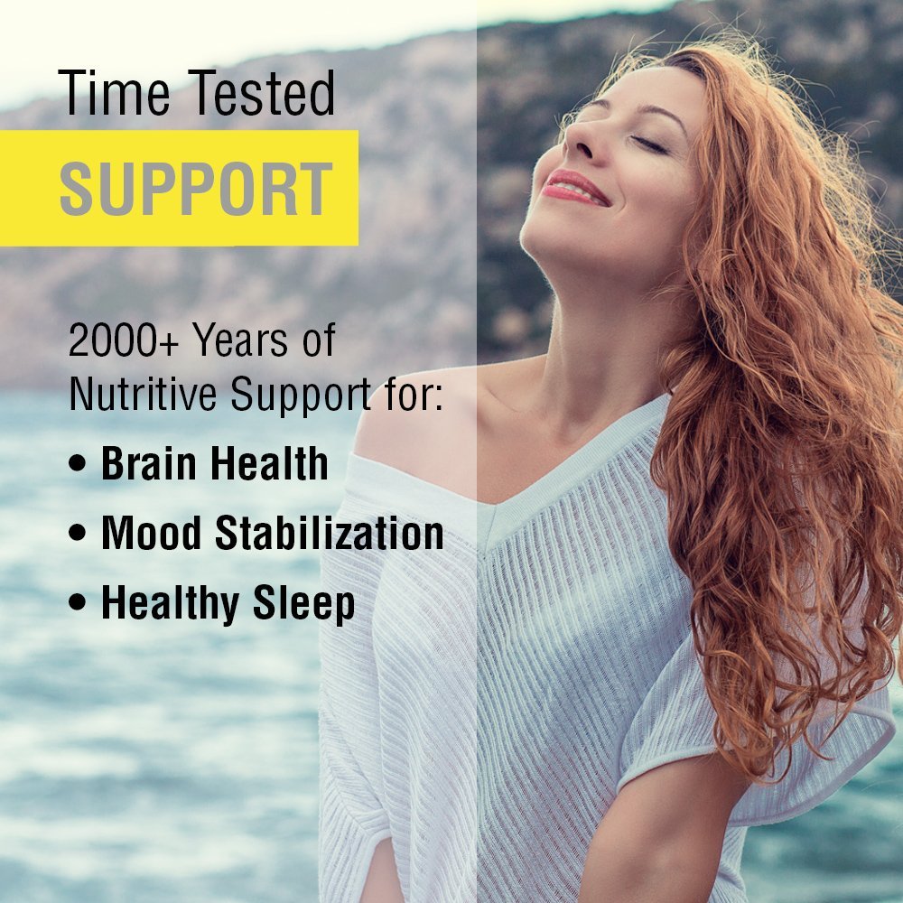 Solaray St. John's Wort Aerial 450mg - Mood, Brain Health & Healthy Sleep Support - 100ct - The Oasis of Health