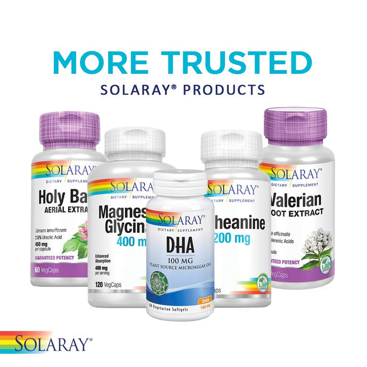 SOLARAY St. Johns Wort Aerial Extract 450mg Two Daily | Mood & Brain Health Support | 0.3% Hypericin | 60ct, 30 Serv. - The Oasis of Health