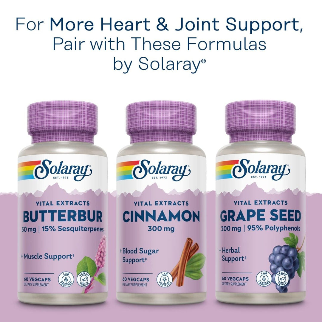 SOLARAY Turmeric Root Extract 300mg, Joint & Heart Health Support, Guaranteed Potency Extract, 60 Servings, 60 VegCaps - The Oasis of Health