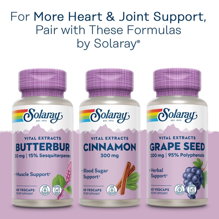 SOLARAY Turmeric Root Extract 300mg, Joint & Heart Health Support, Guaranteed Potency Extract, 60 Servings, 60 VegCaps - The Oasis of Health