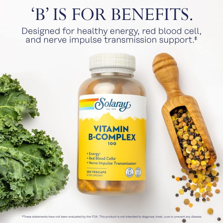 Solaray Vitamin B Complex 100 mg - Comprehensive B Vitamins for Healthy Energy and Vitality - 250 VegCaps - The Oasis of Health