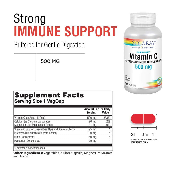 SOLARAY Vitamin C w/Bioflavonoid Complex 500mg Buffered for Easy Digestion Healthy Immune System, Collagen Synthesis & Antioxidant Support 250 VegCaps - The Oasis of Health
