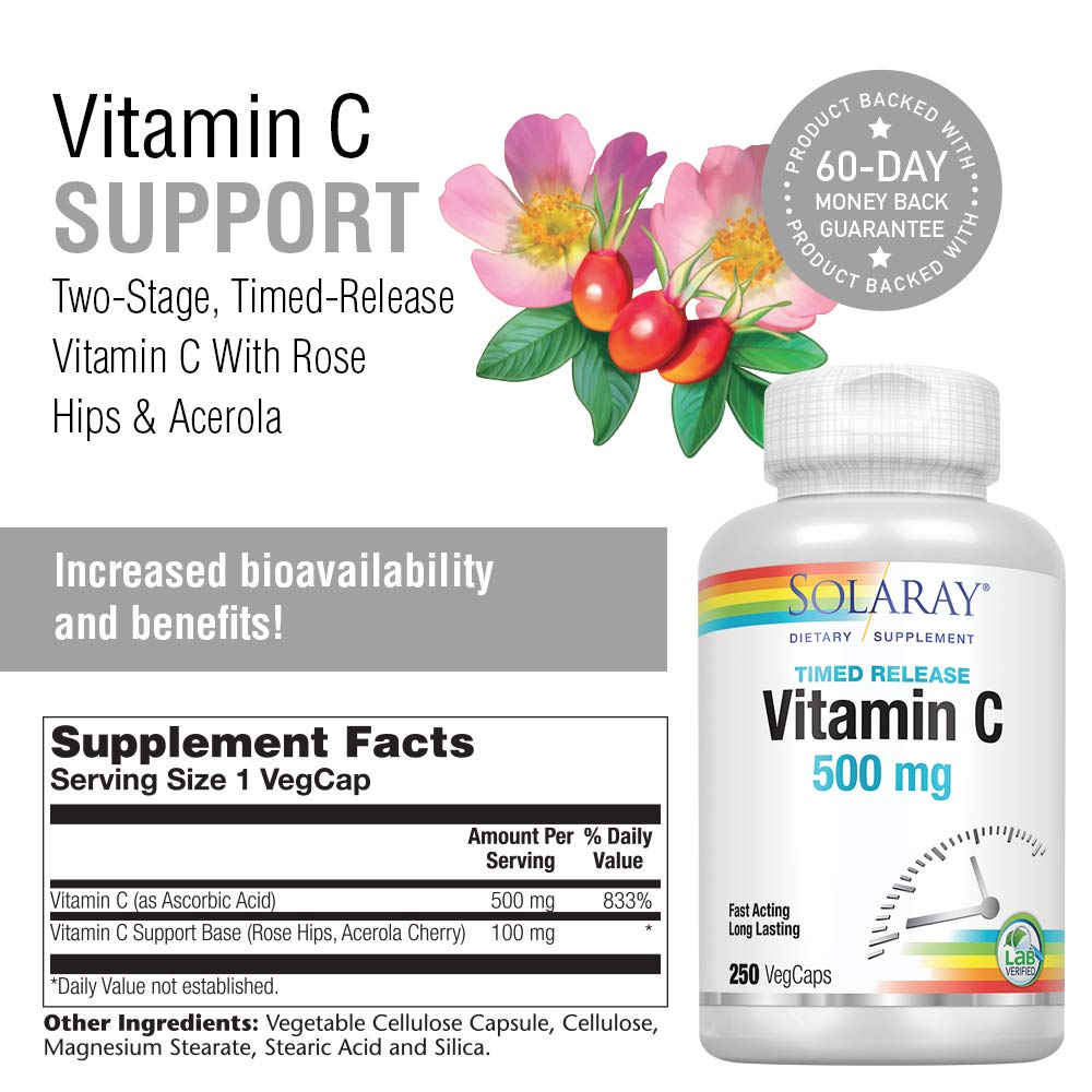 SOLARAY Vitamin C w/Rose Hips &amp; Acerola | 500mg | Two - Stage, Timed - Release Healthy Immune Function, Skin, Hair &amp; Nails Support | Non - GMO | 250 CT - The Oasis of Health