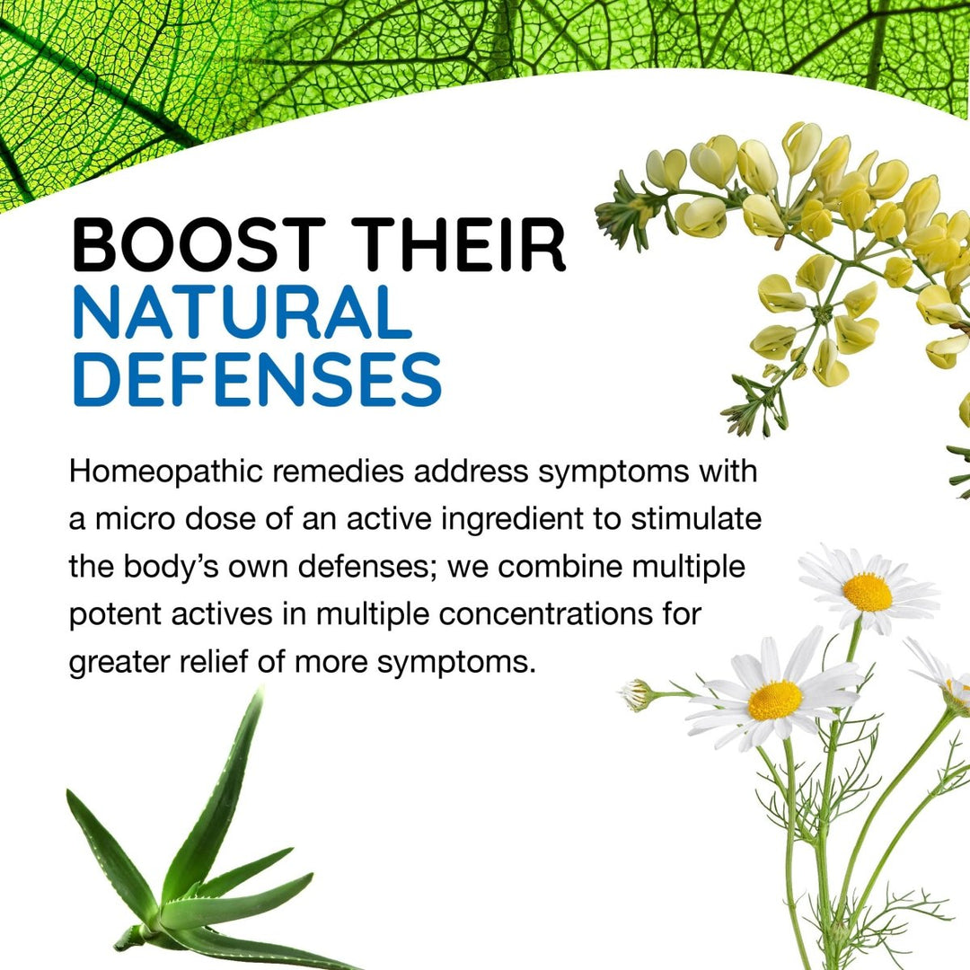 T - Relief Pet Digestive Complete GI Relief Drops for Dog & Cat Soothing Aloe + 13 Natural Homeopathic Actives Help Calm Nausea & Diarrhea from Mild Illness Food Stress or Motion Sickness - 1.69 oz - The Oasis of Health