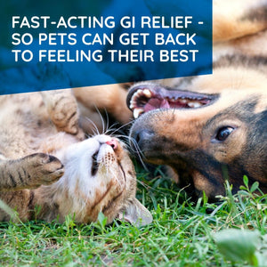 T - Relief Pet Digestive Complete GI Relief Drops for Dog & Cat Soothing Aloe + 13 Natural Homeopathic Actives Help Calm Nausea & Diarrhea from Mild Illness Food Stress or Motion Sickness - 1.69 oz - The Oasis of Health