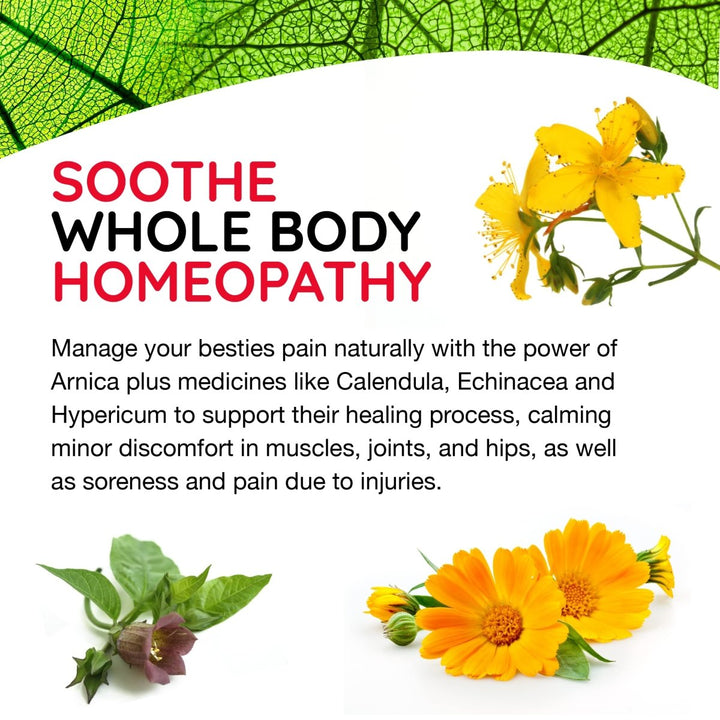 T - Relief Pet Pain Oral Drops Arnica +12 Dogs & Cats - Fast - Acting Soother - 1.69 oz (2 Pack) - The Oasis of Health