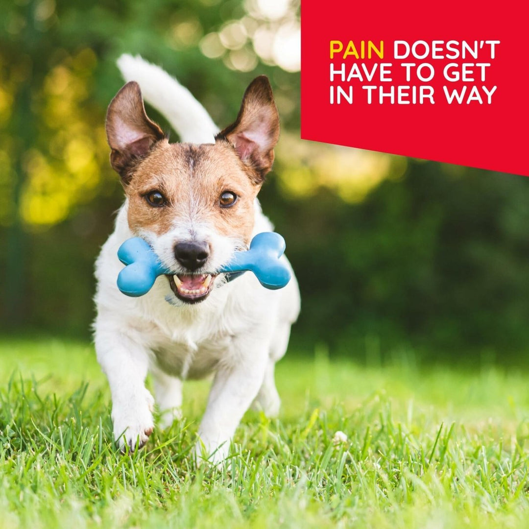 T - Relief Pet Pain Oral Drops Arnica +12 Powerful Natural Medicines for Muscle Joint & Hip Pain Soreness Stiffness Injuries in Dogs & Cats - Fast - Acting Soother - 1.69 oz (2 Pack) - The Oasis of Health