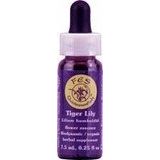 Tiger Lily Dropper 1 Ounces - The Oasis of Health