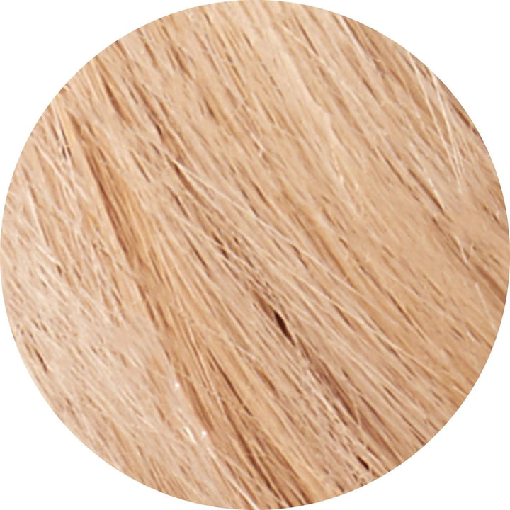 Tints Of Nature - Conditioning Permanent Hair Color 10XL Extra Light Blonde - 4.4 fl. oz. - The Oasis of Health