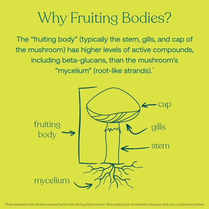 True Grace - Myco - Renew Fruiting Body Organic Mushroom Blend - 60 Vegan Capsules - The Oasis of Health