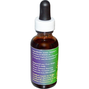 Trumpet Vine Dropper 1 Ounces - The Oasis of Health