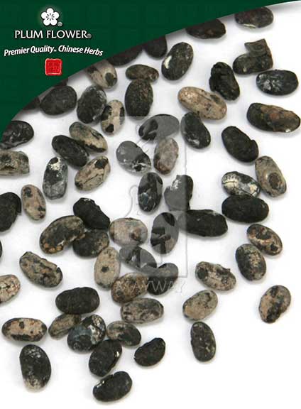 Plum Flower Dan Dou Chi, Unsulfured by MayWay