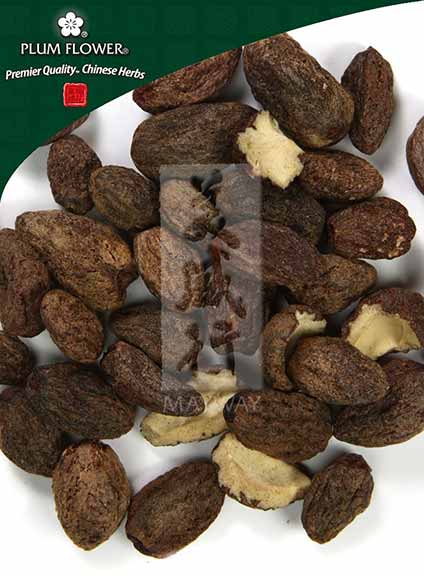 Plum Flower Fei Zi  unsulfured Torreya grandis seed (hulled) 500 g/bag by MayWay