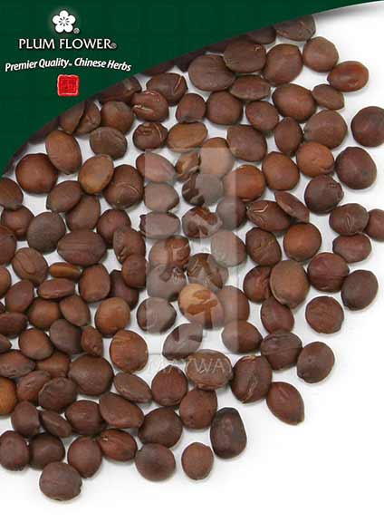 Plum Flower Suan Zao Ren  unsulfured by MayWay