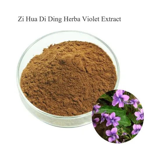 Zi Hua Di Ding, extract powder - The Oasis of Health